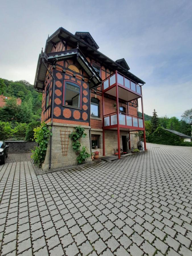 Ferienwohnung Villa Frosch مينينجن المظهر الخارجي الصورة